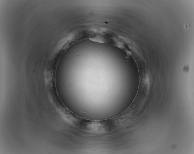 X0000090920759200708201806