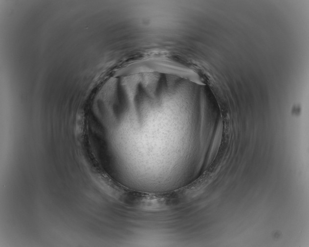 X0000090920760200708201806