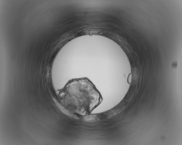 X0000090920761200708201806