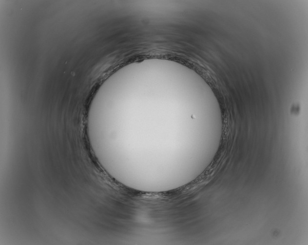 X0000090920762200708201806