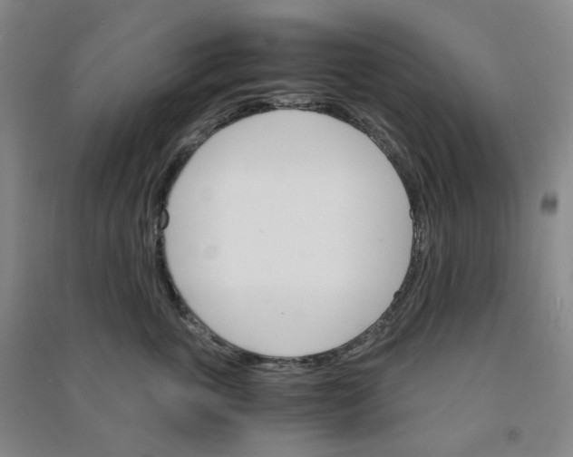 X0000090920763200708201806