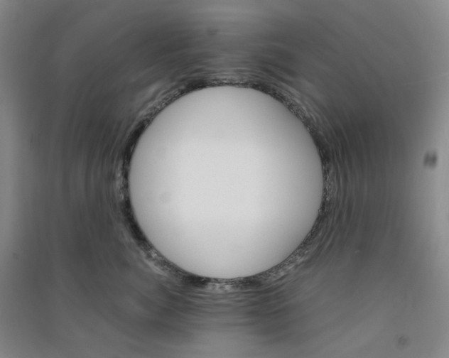 X0000090920764200708201806