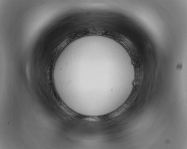 X0000090920765200708201806