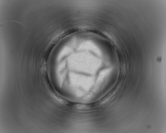 X0000090920766200708201806