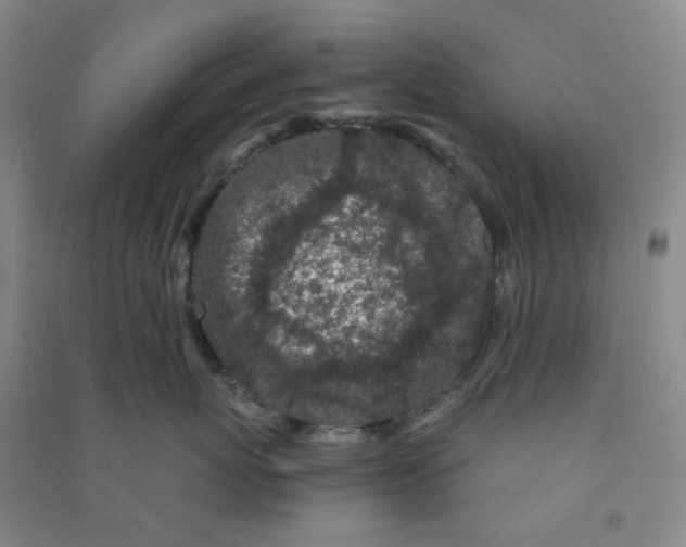 X0000090920767200708201806