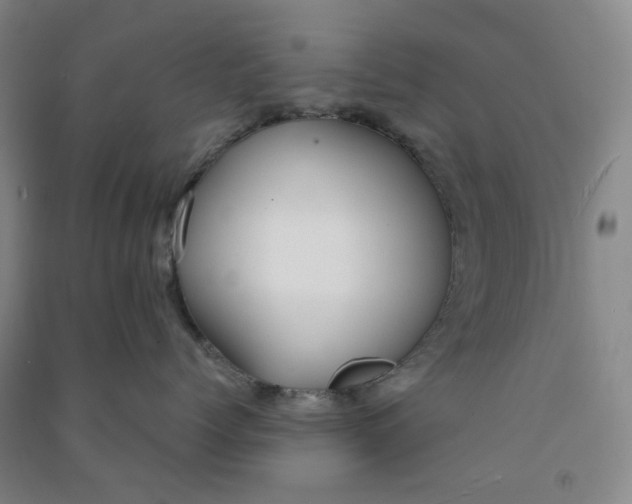 X0000090920768200708201806