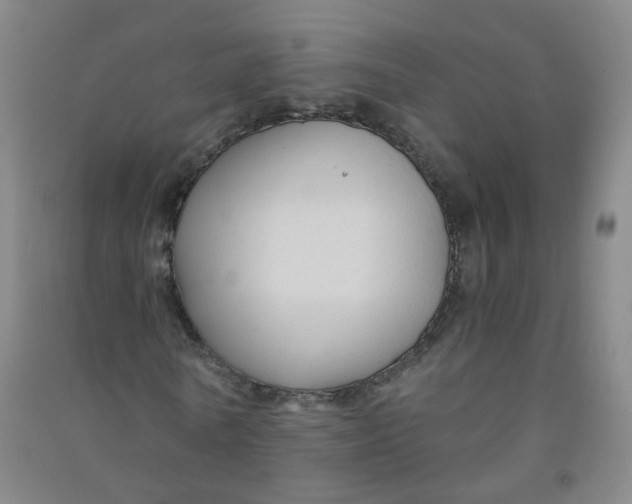 X0000090920770200708201805