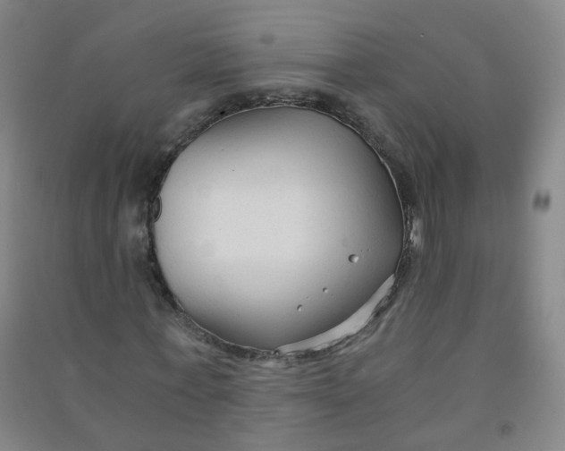 X0000090920771200708201805