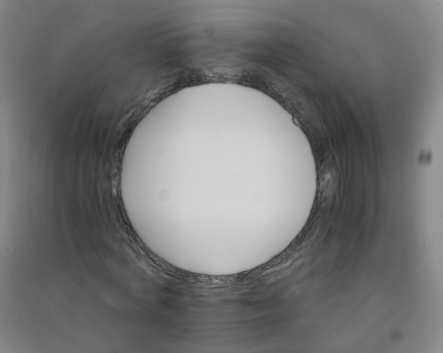 X0000090920772200708201805