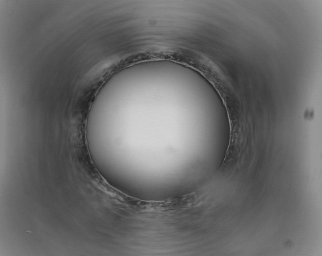 X0000090920773200708201805