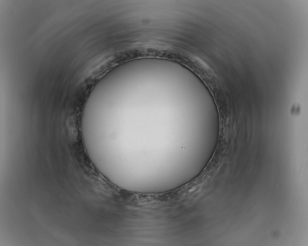 X0000090920774200708201805