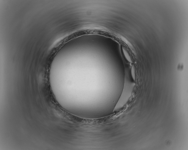 X0000090920775200708201805