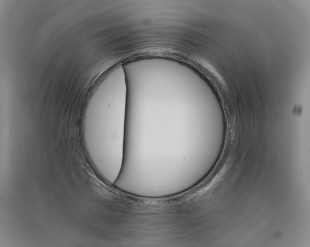 X0000090920777200708201805