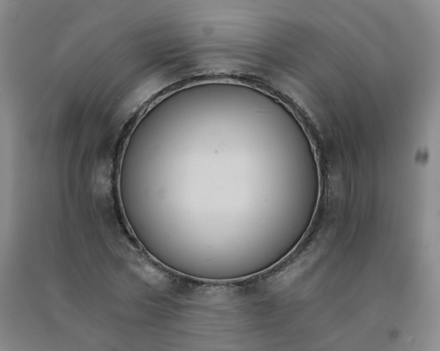 X0000090920778200708201805