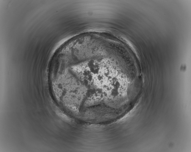 X0000090920779200708201805