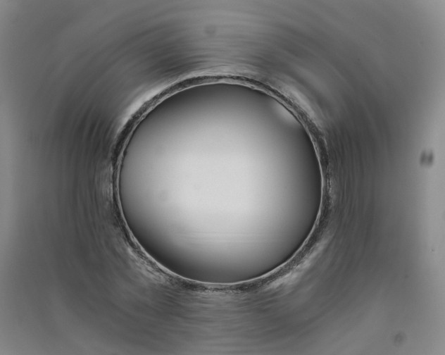 X0000090920781200708201805