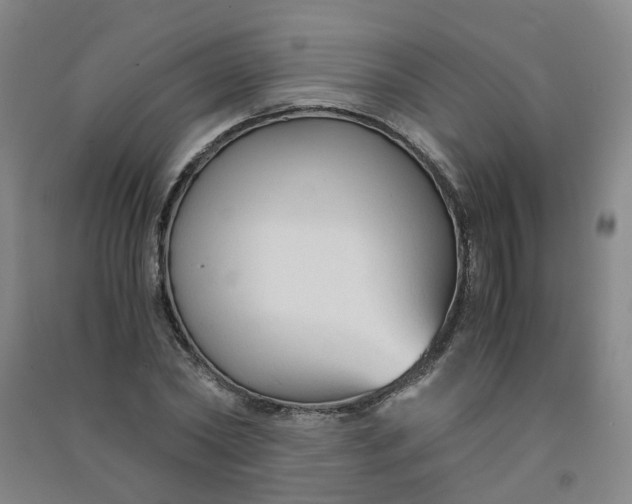 X0000090920782200708201805