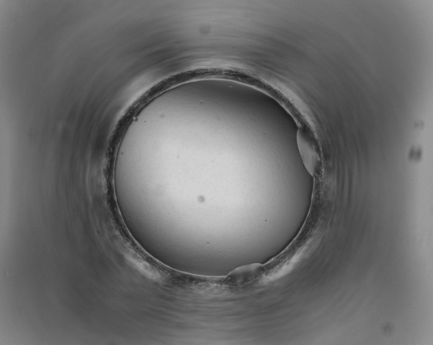 X0000090920783200708201805