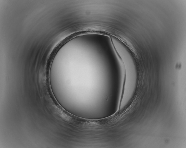 X0000090920784200708201805