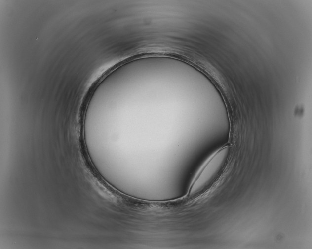 X0000090920787200708201805