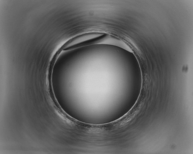 X0000090920788200708201805