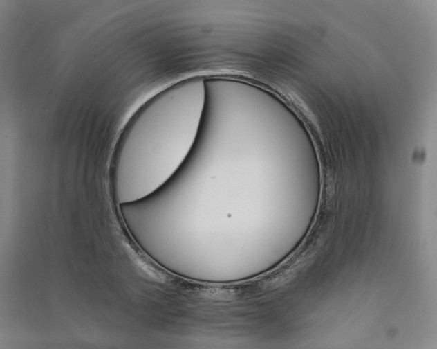 X0000090920789200708201805