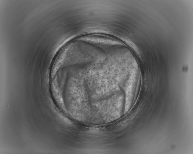 X0000090920790200708201805