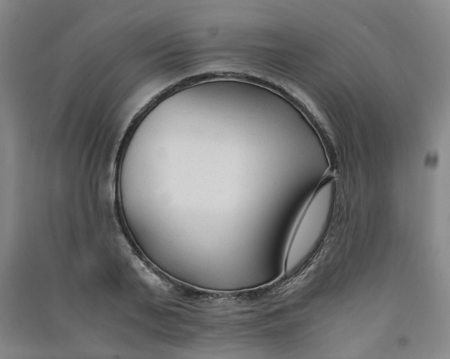 X0000090920791200708201805