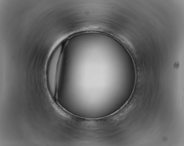 X0000090920792200708201805