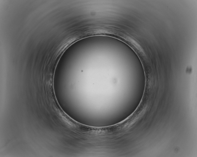 X0000090920793200708201805