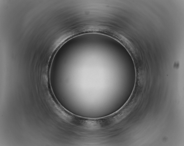 X0000090920794200708201805