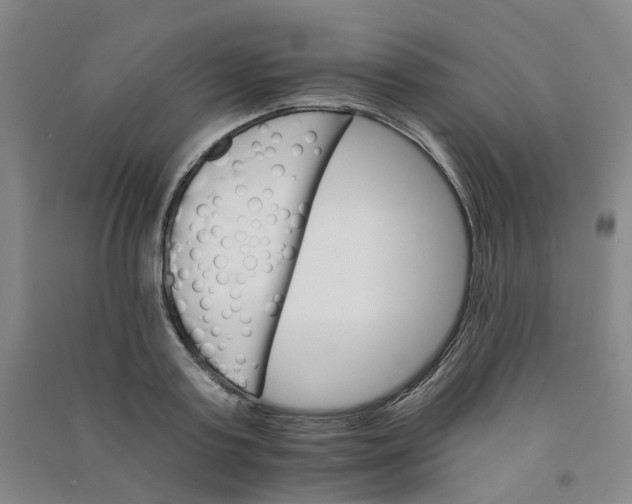 X0000090920795200708201805