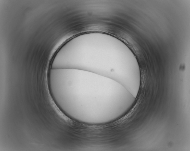 X0000090920796200708201805