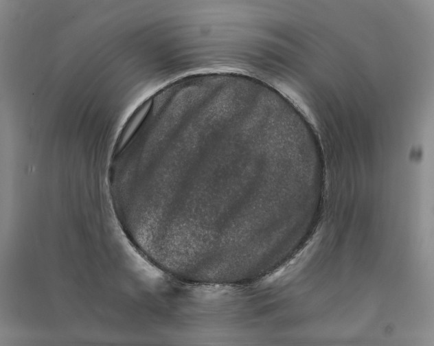 X0000090920797200708201805