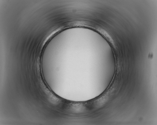 X0000090920798200708201805