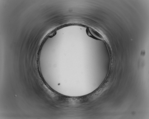 X0000090920799200708201805