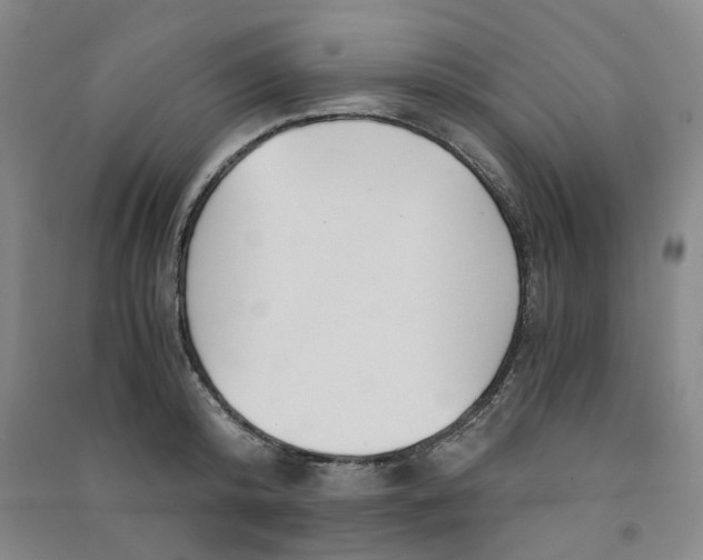 X0000090920800200708201805