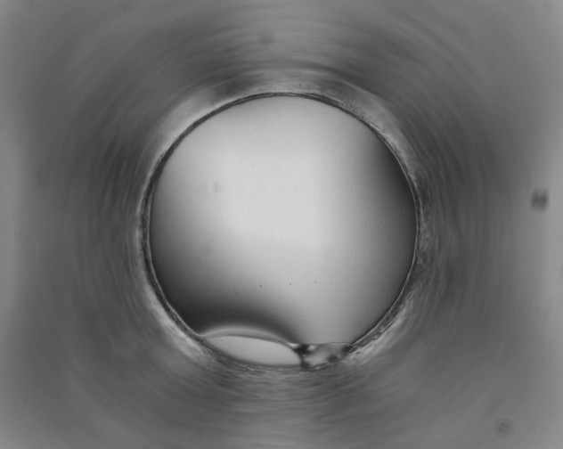 X0000090920803200708201805