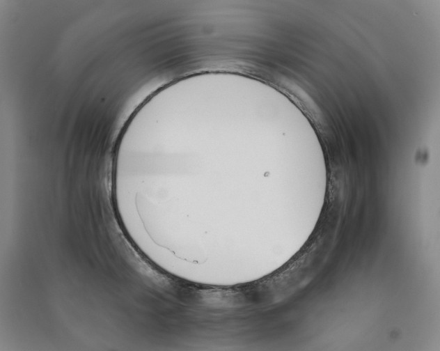 X0000090920804200708201805