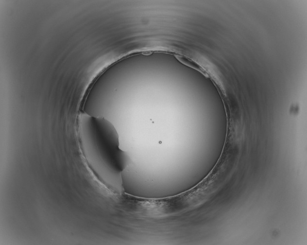 X0000090920805200708201805