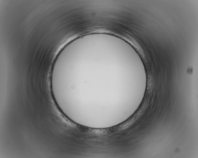 X0000090920806200708201805