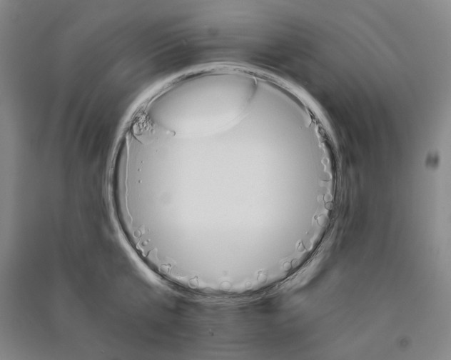 X0000090920807200708201804