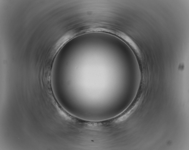 X0000090920809200708201804