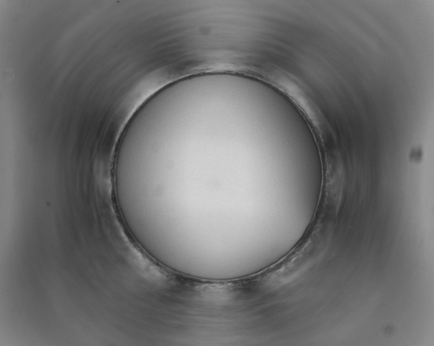 X0000090920810200708201804