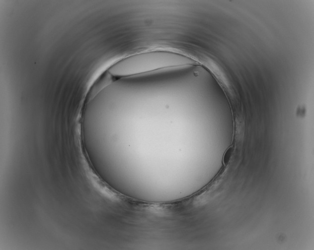 X0000090920814200708201804