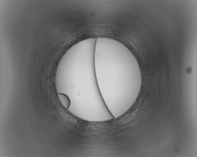 X0000090920817200708201804