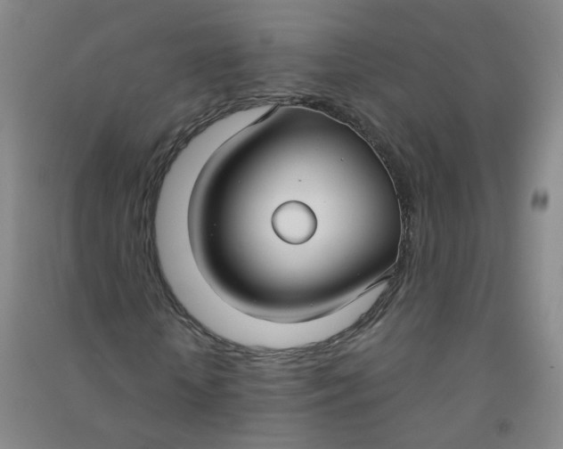 X0000090920818200708201804