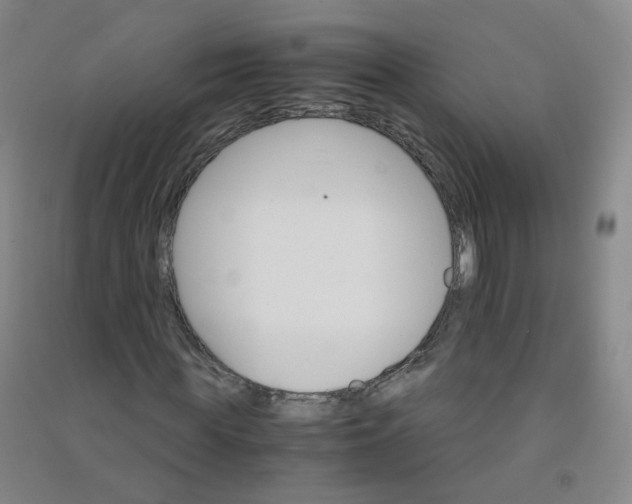 X0000090920819200708201804