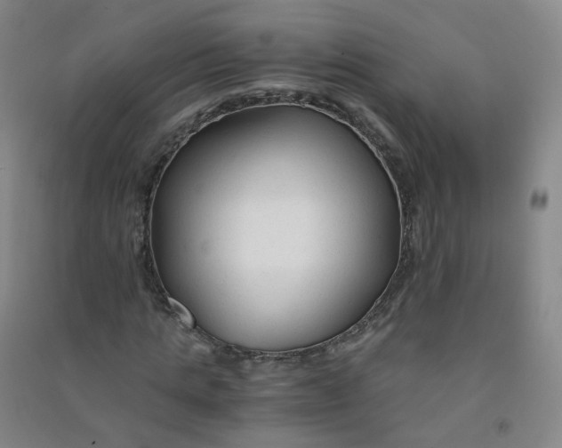 X0000090920821200708201804