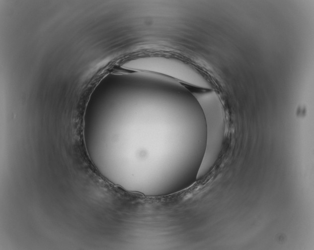 X0000090920822200708201804